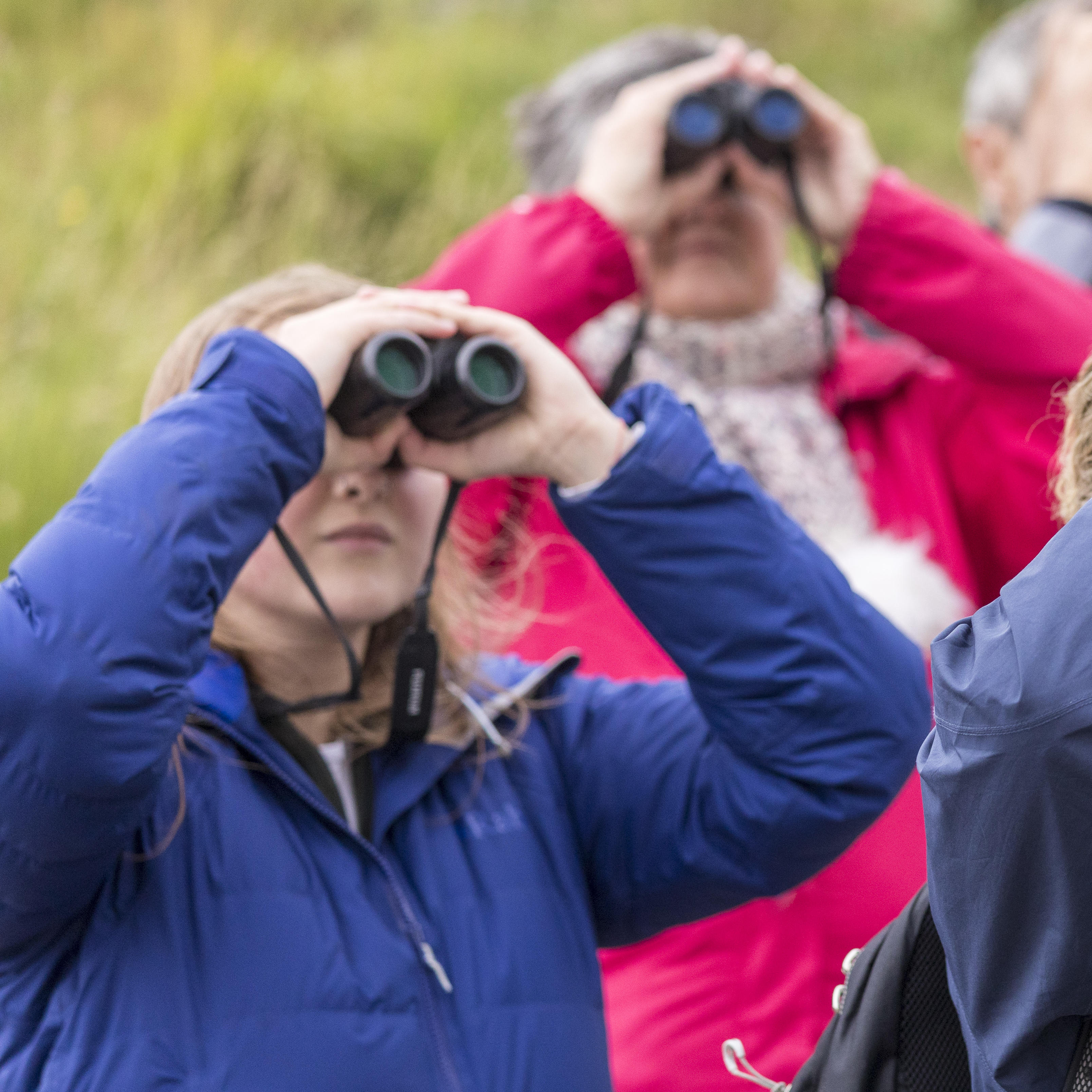 People bird watching
