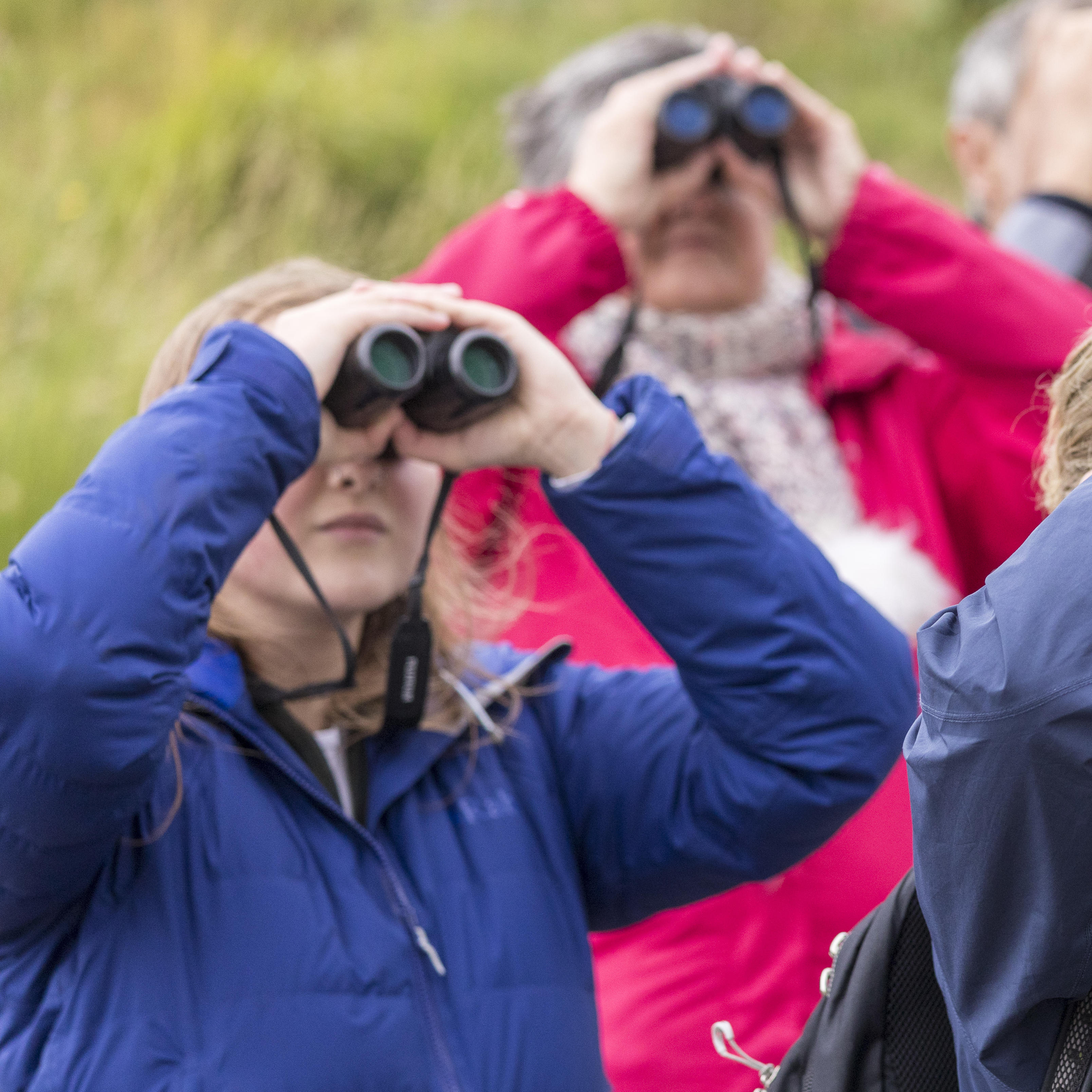 People bird watching
