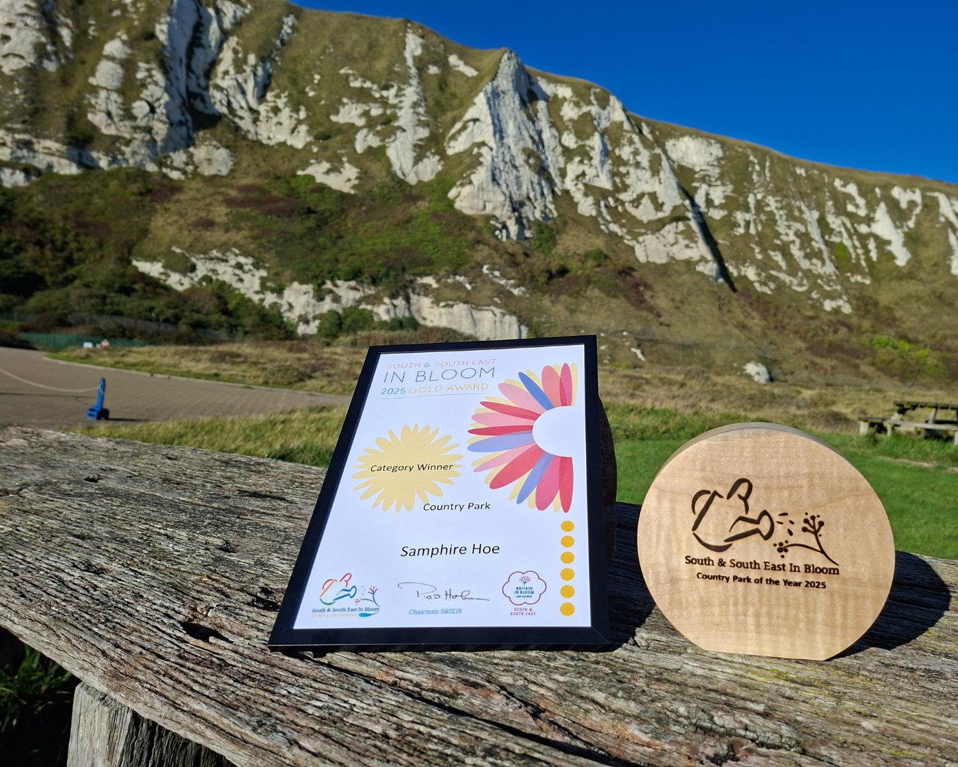 dover in bloom awards