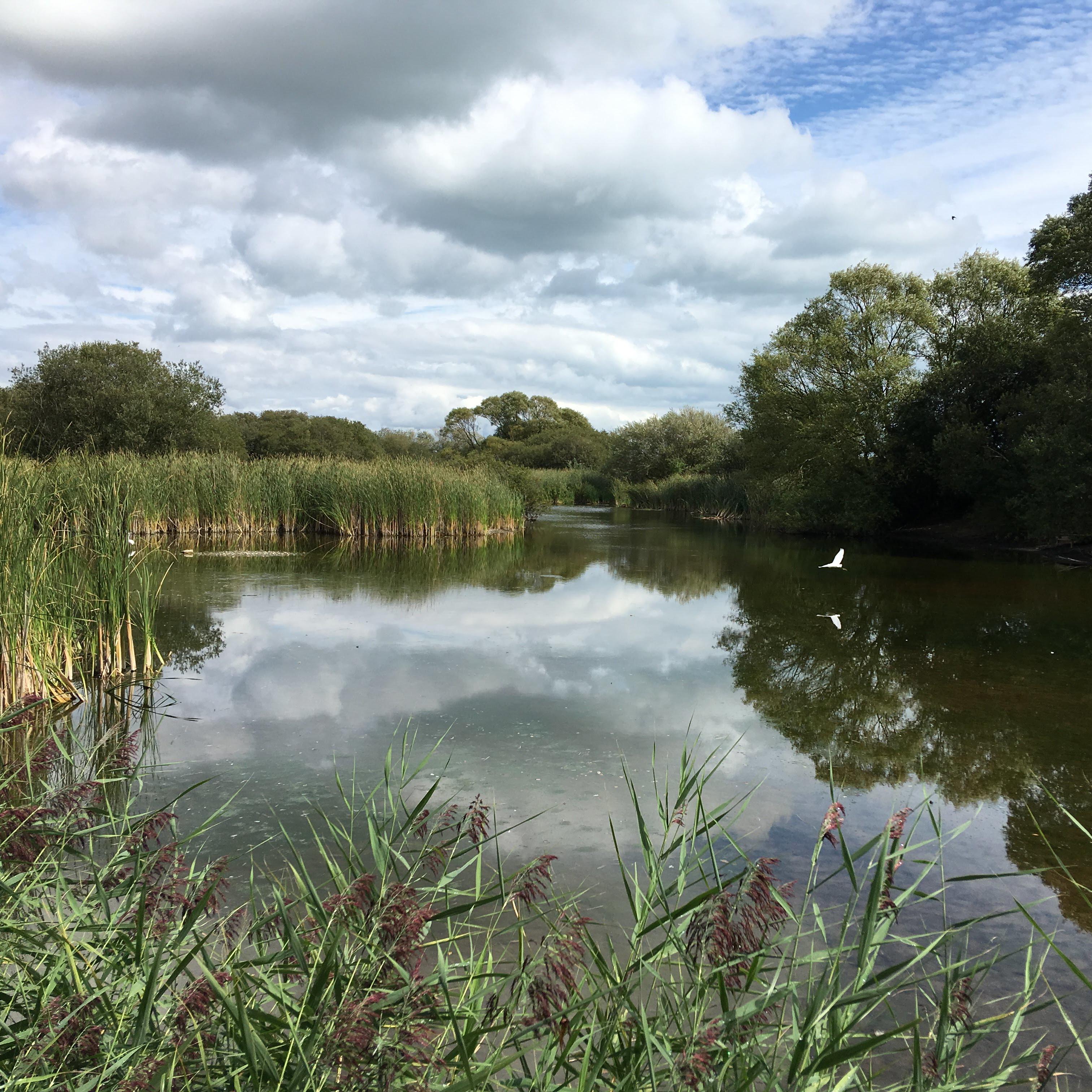 Pond at Romney Warren