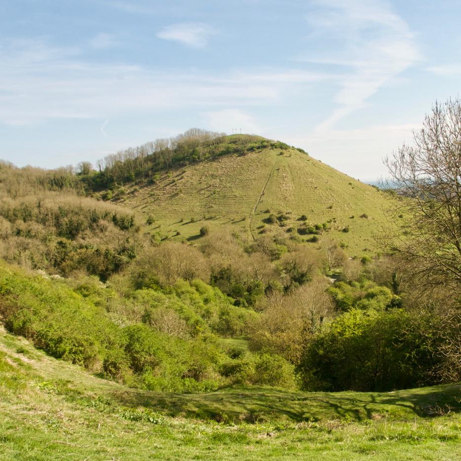 Hill at Folkestone Downs