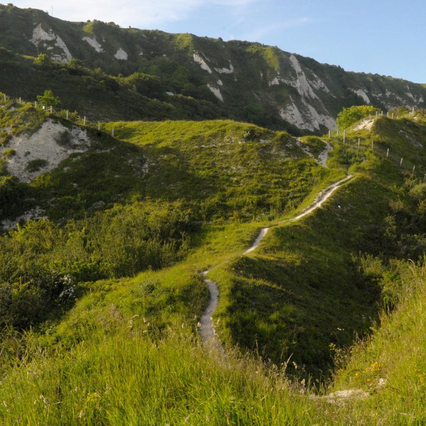 Footpath and cliffs at Folkestone Warren