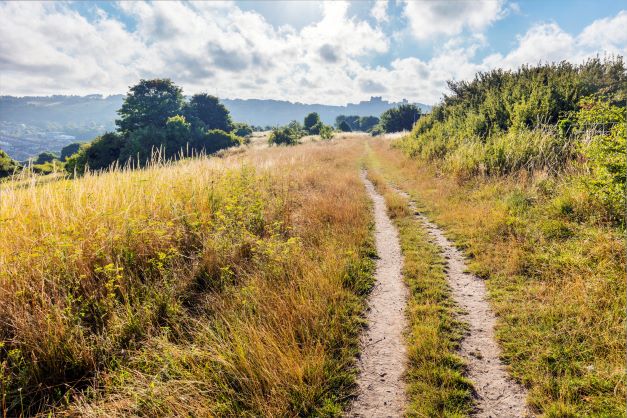 High Meadow Local Nature Reserve