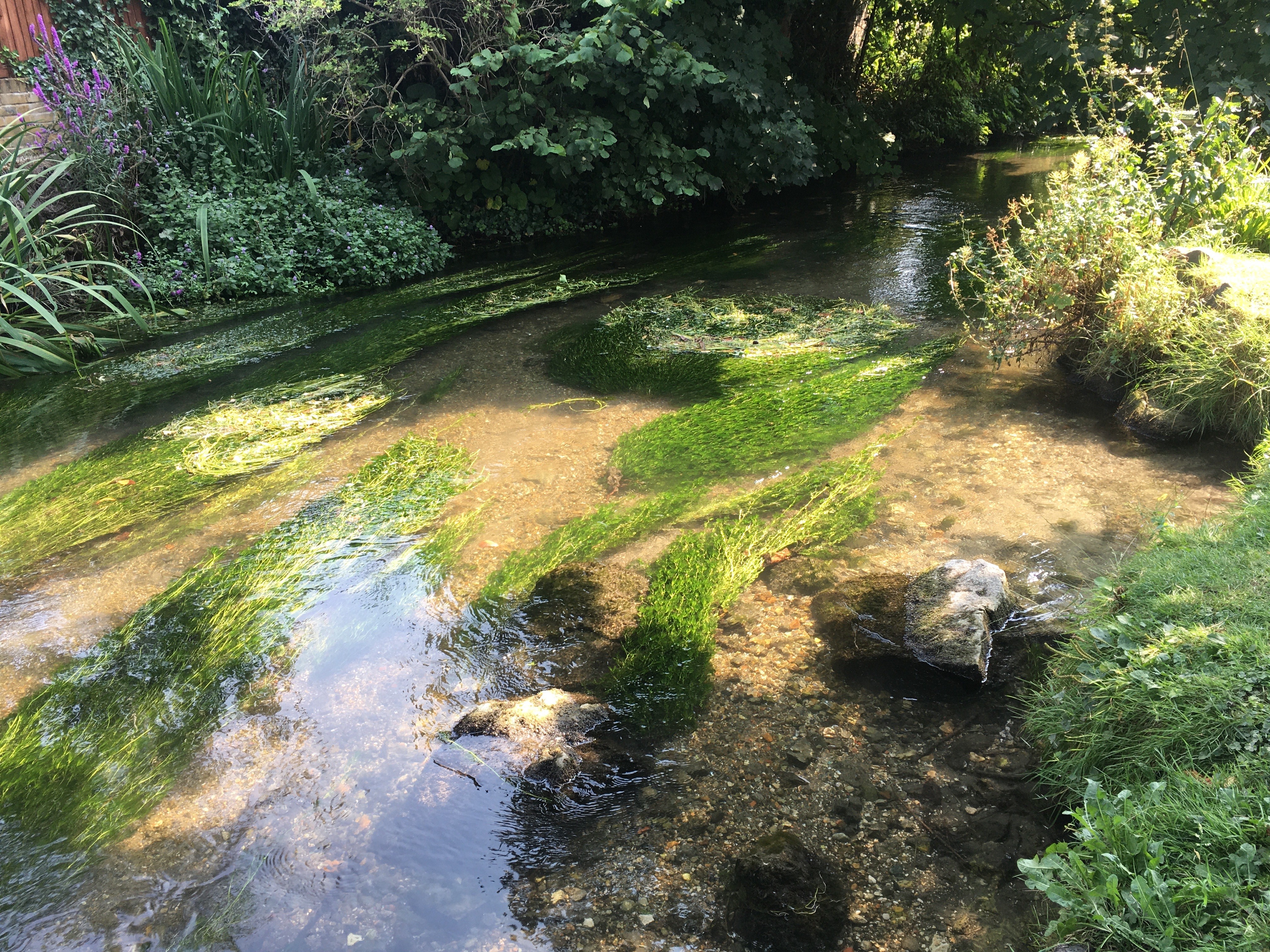 River Dour in Pencester Gardens