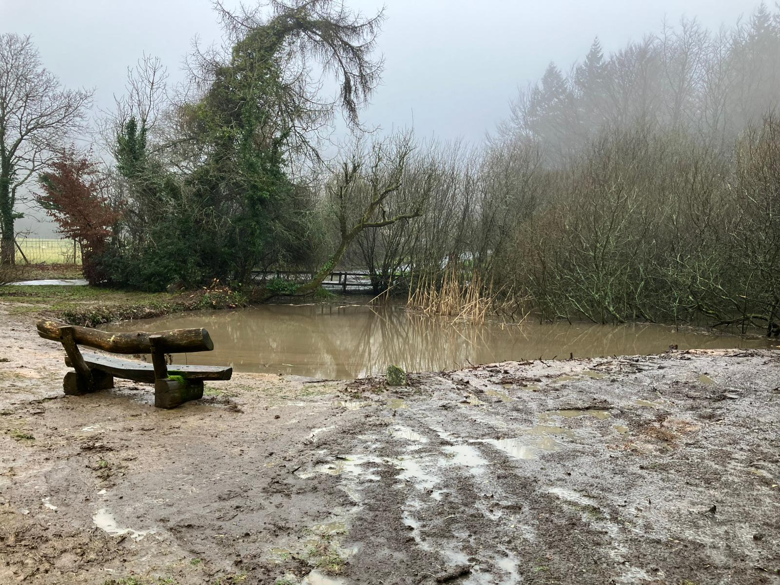 Pond at Romney Warren Nature Reserve with vegetation in the background and a wooden bench on its bank