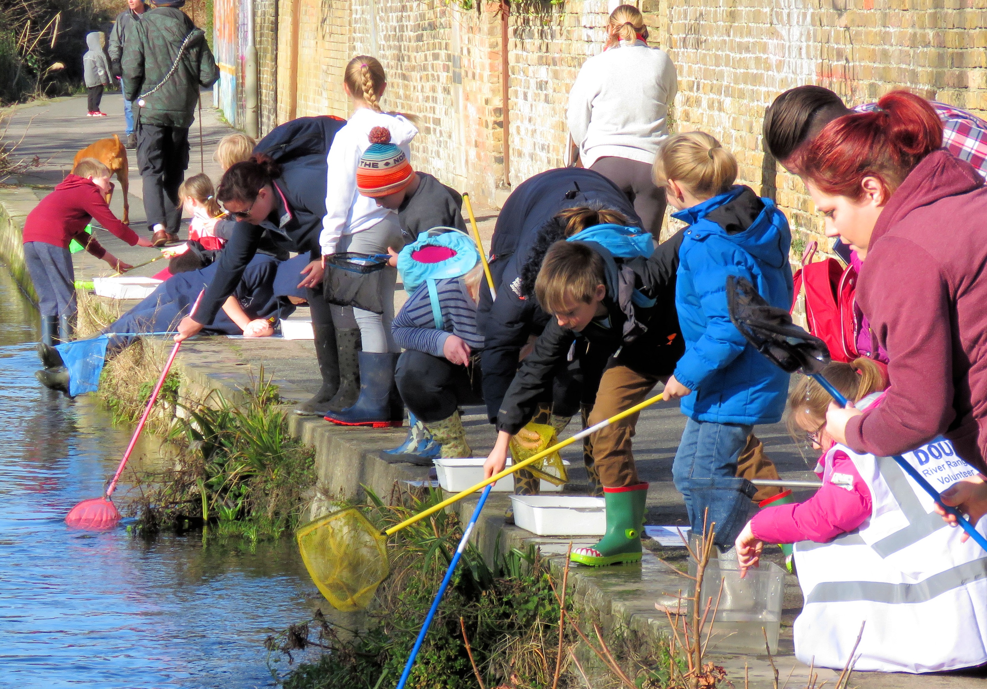 River dipping on the Dour