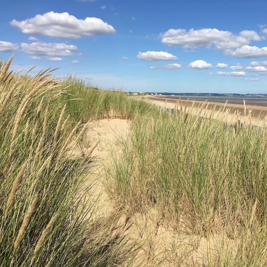 Sand dunes and beach at Greatstone Dunes