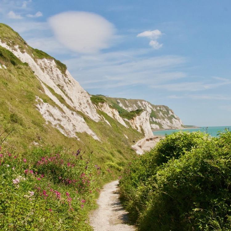 Footpath at Folkestone Warren