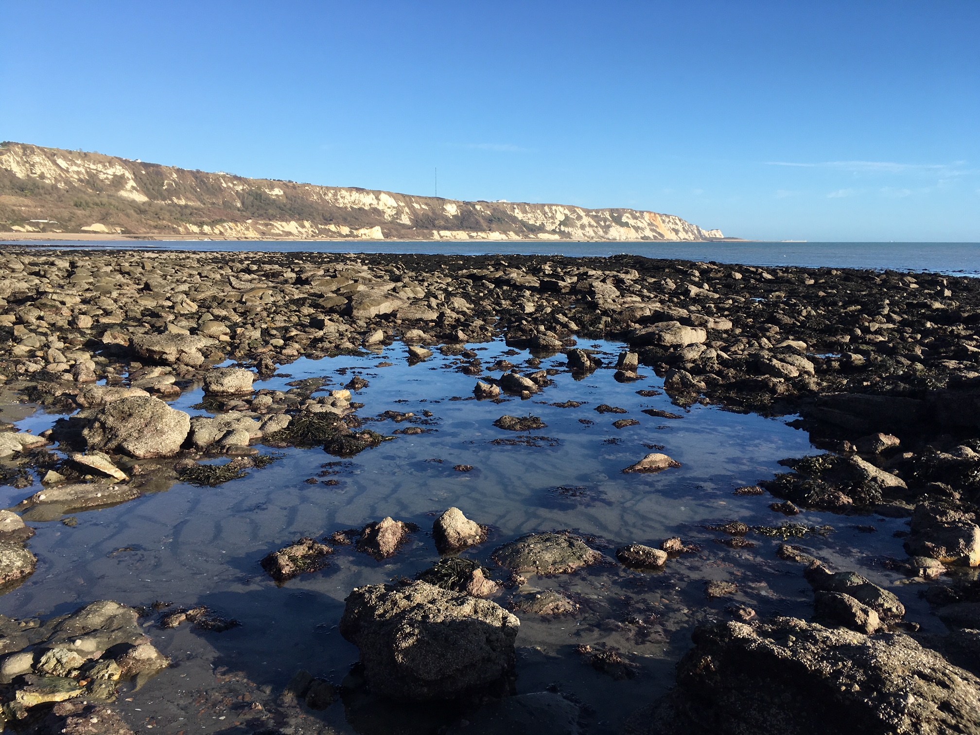 Folkestone Warren