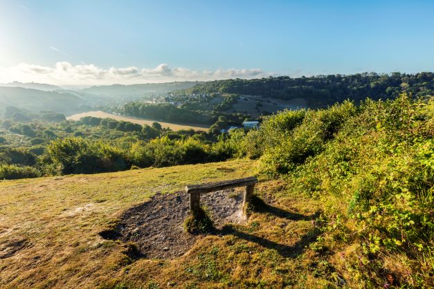 Whinless Down Local Nature reserve